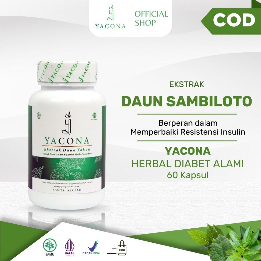 

Yacona Obat Diabetes Manjur Tanpa Efek Samping