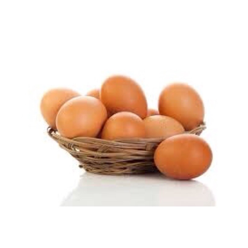 

Telur Segar 1 Kg (harga bisa berubah harap chat)