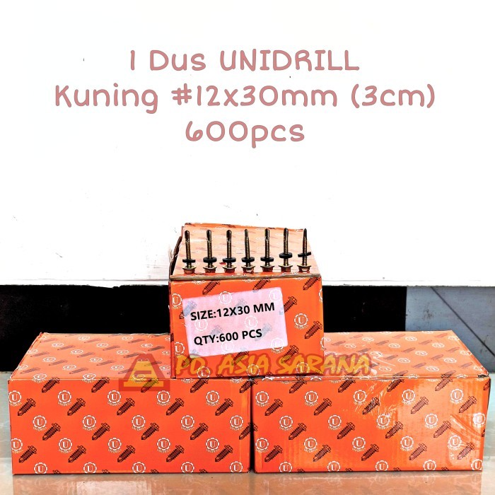 [DUS] Paku Roofing 3cm UNIDRILL Skrup Genteng Sekrup Ruping Atap 12x30