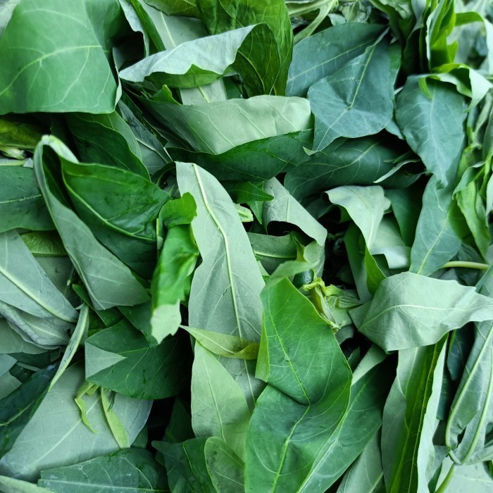 

Daun Singkong Segar/Fresh Bersih Lepas Tangkai/Tanpa Tangkai 1kg