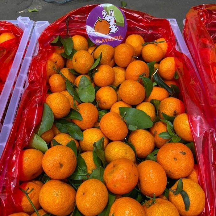 

Jeruk Santang Madu 6.5kg Manis