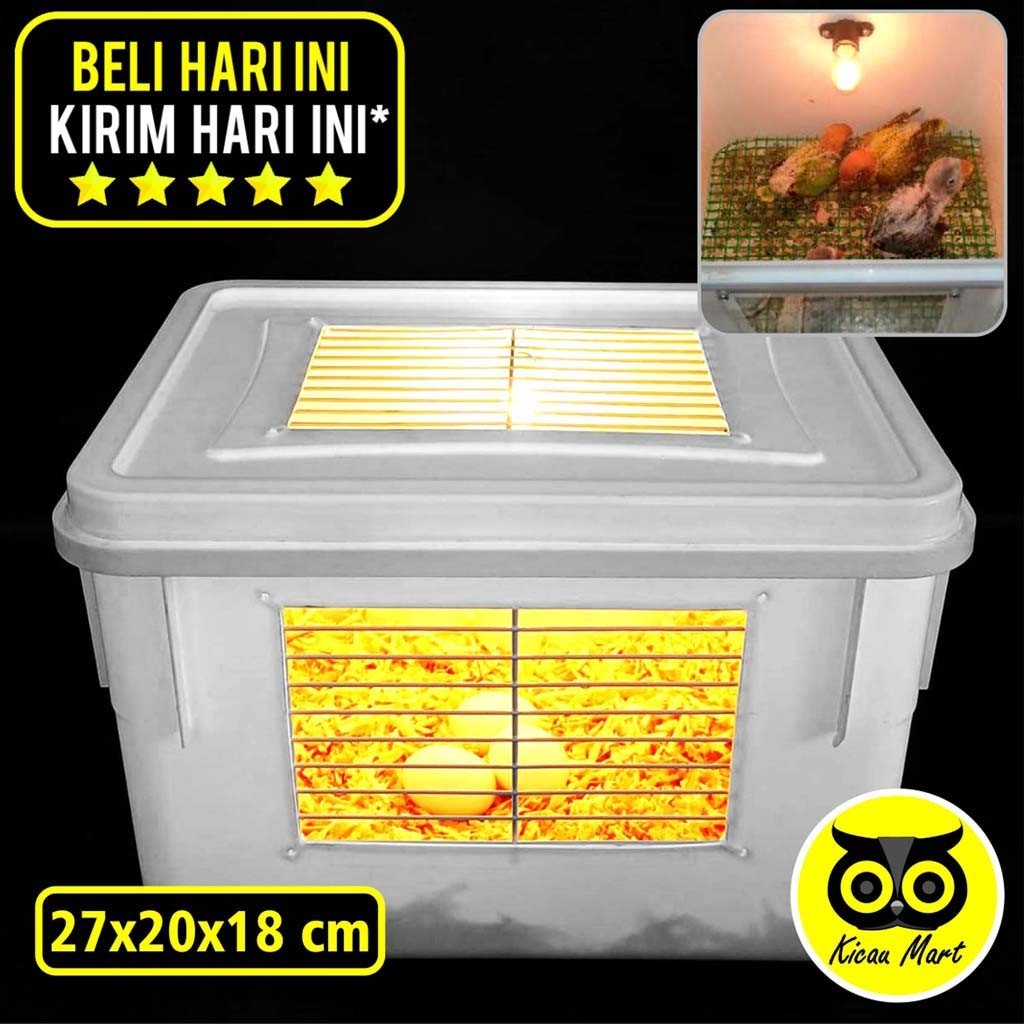 KICAU MART Box Terrarium Kotak Terarium Plus Lampu Serbuk Kayu Alas Kayu Ram Kawat Plastik Tempat Lo