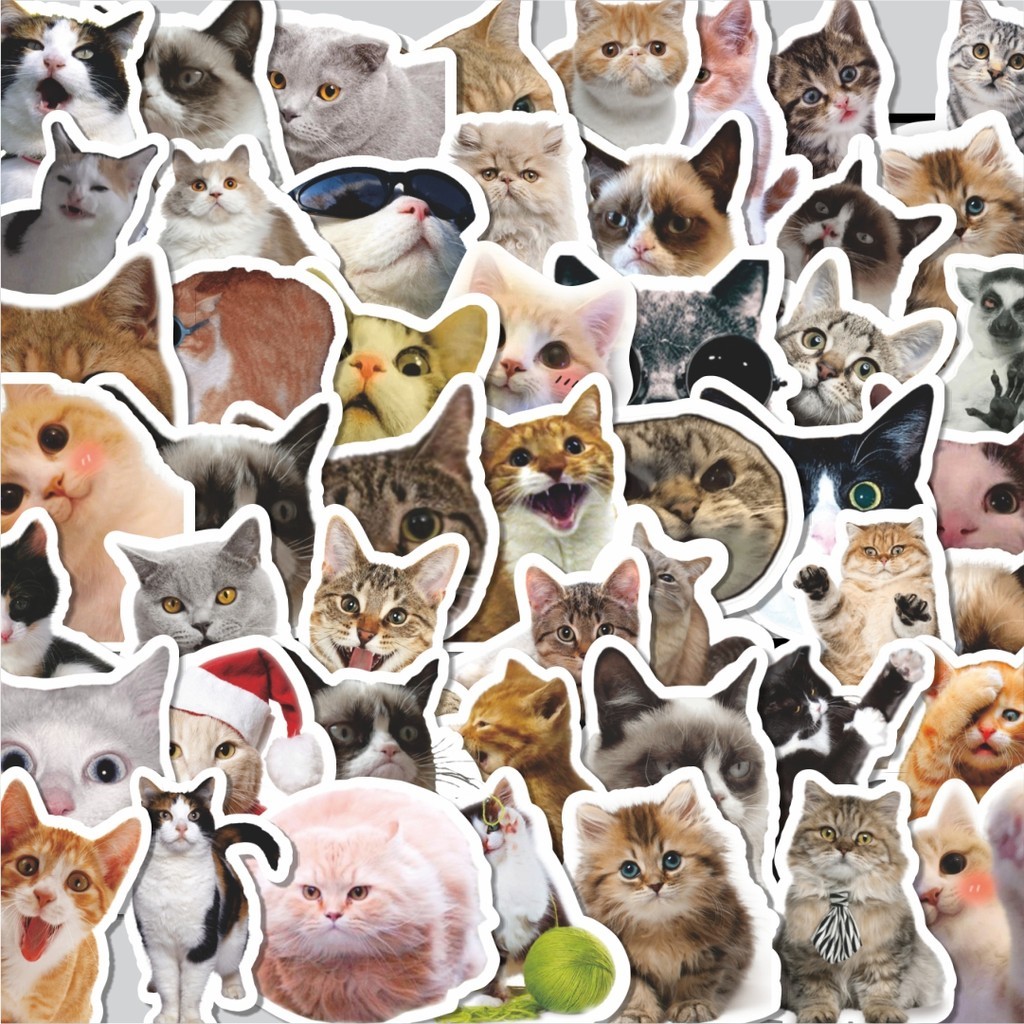 

Stiker Cutting Pack Stiker Cat/Kucing Kawaii V5 Isi 100Pcs Series Aesthetic Lucu Keren Untuk Koper Bahan Vynil