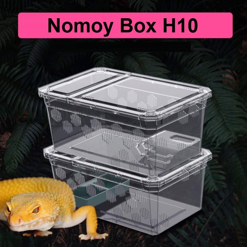 Reptile Box Platform Pacman Horned Frog Kodok Turtle Kura Air Nomoy H10 18.5 x 12.1 x 7.8cm Tangkrin