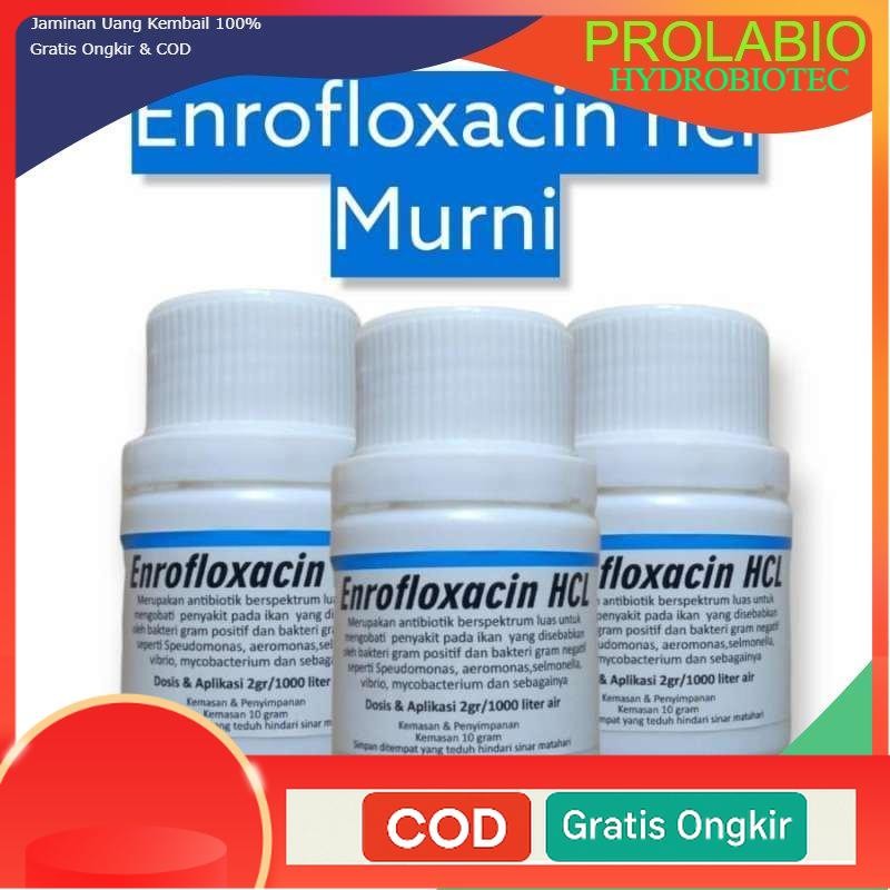 prolabio enrofloxacin murni 10 gram