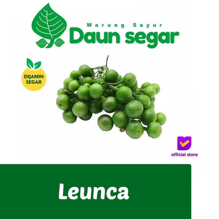 

Leunca / sayur Leunca Fresh 250gr