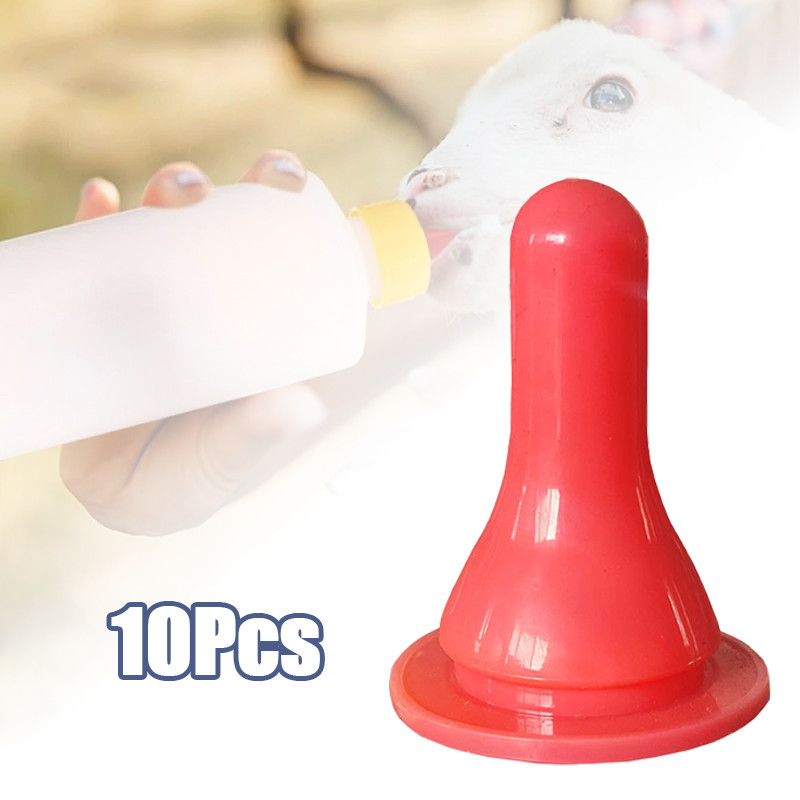 10pcs Dot Cempe Kambing Domba Grosir Bahan Silikon