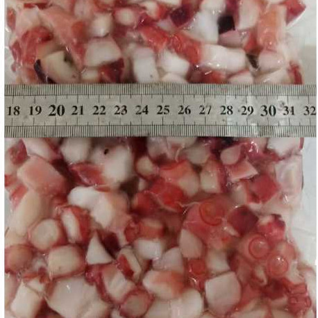 

Gurita Potong Kecil Premium Matang ( Bahan/Isian Takoyaki)