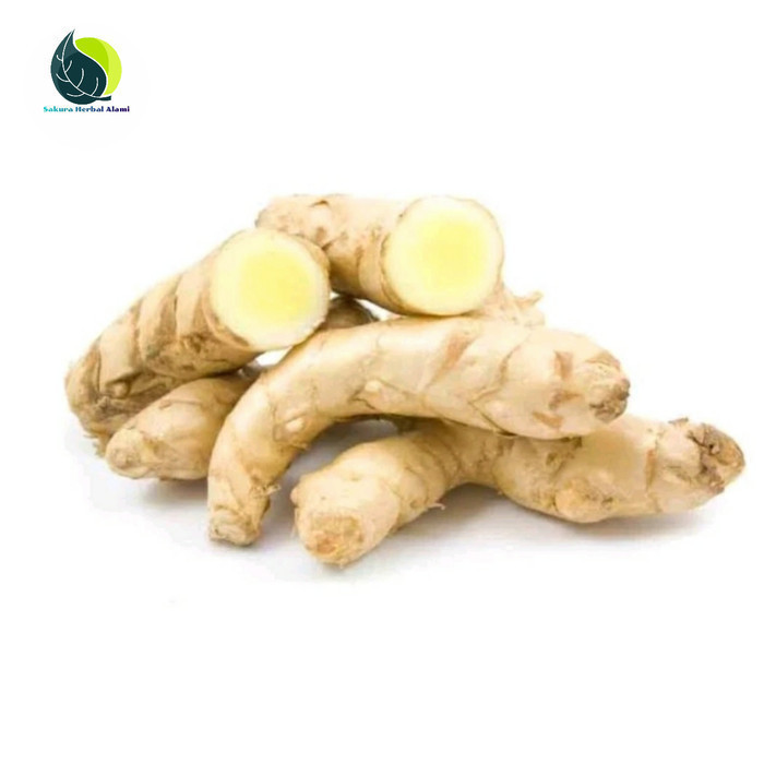 

Temu putih atau kunyit putih 1kg Herbal COD