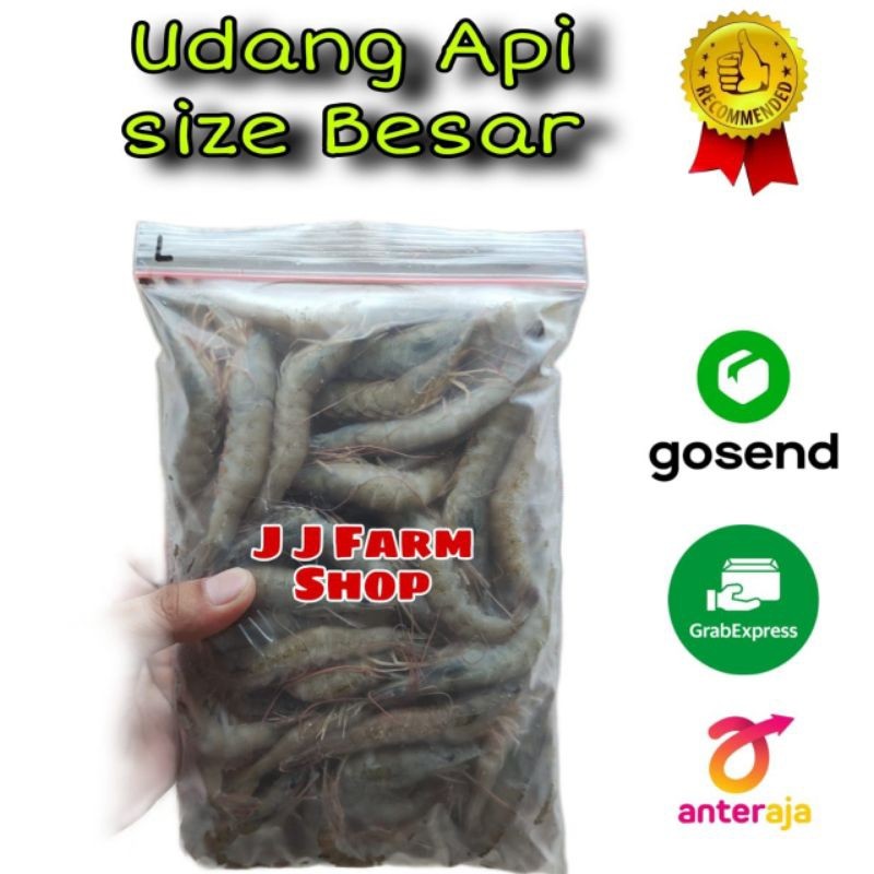 UDANG BESAR / UDANG BEKU BESAR 500 GRAM food grade / makanan pakan ikan predator Channa arwana arowa