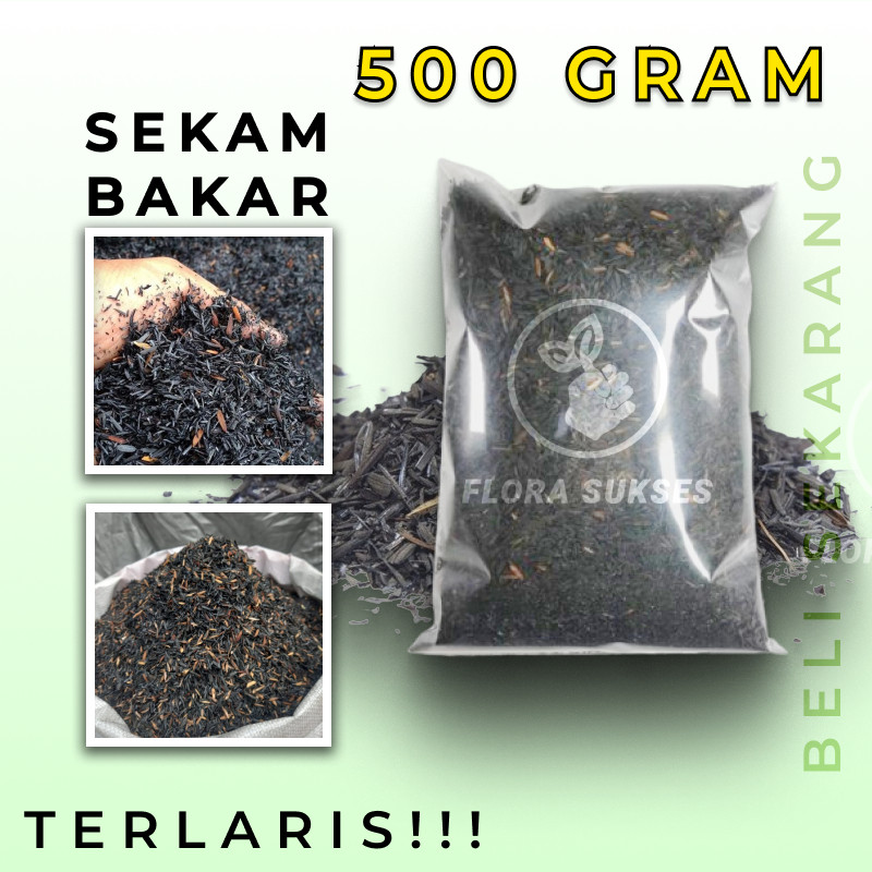 SEKAM BAKAR 500 GRAM MEDIA TANAM SEKAM BAKAR TANAMAN SEKAM BAKAR HIDROPONIK