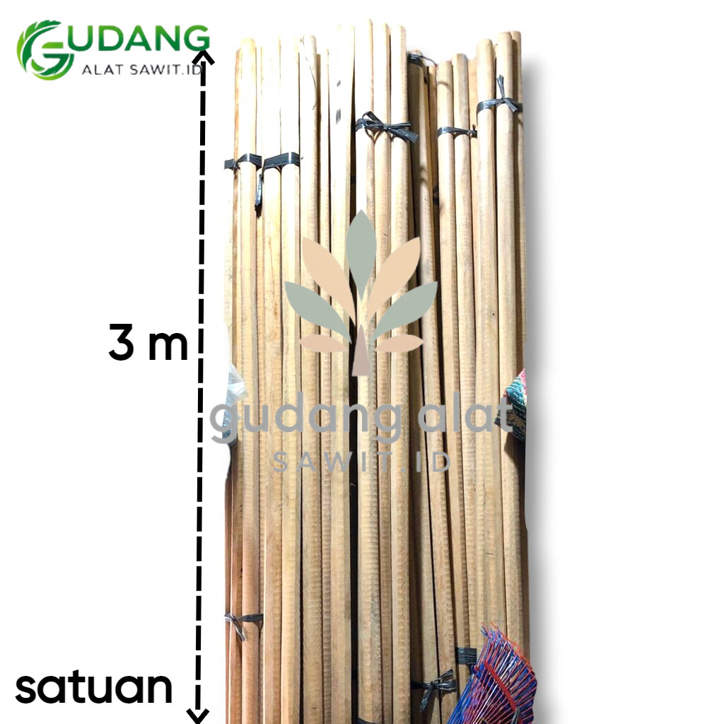 GAGANG DODOS KAYU DARU DARU PANJANG 3 METER