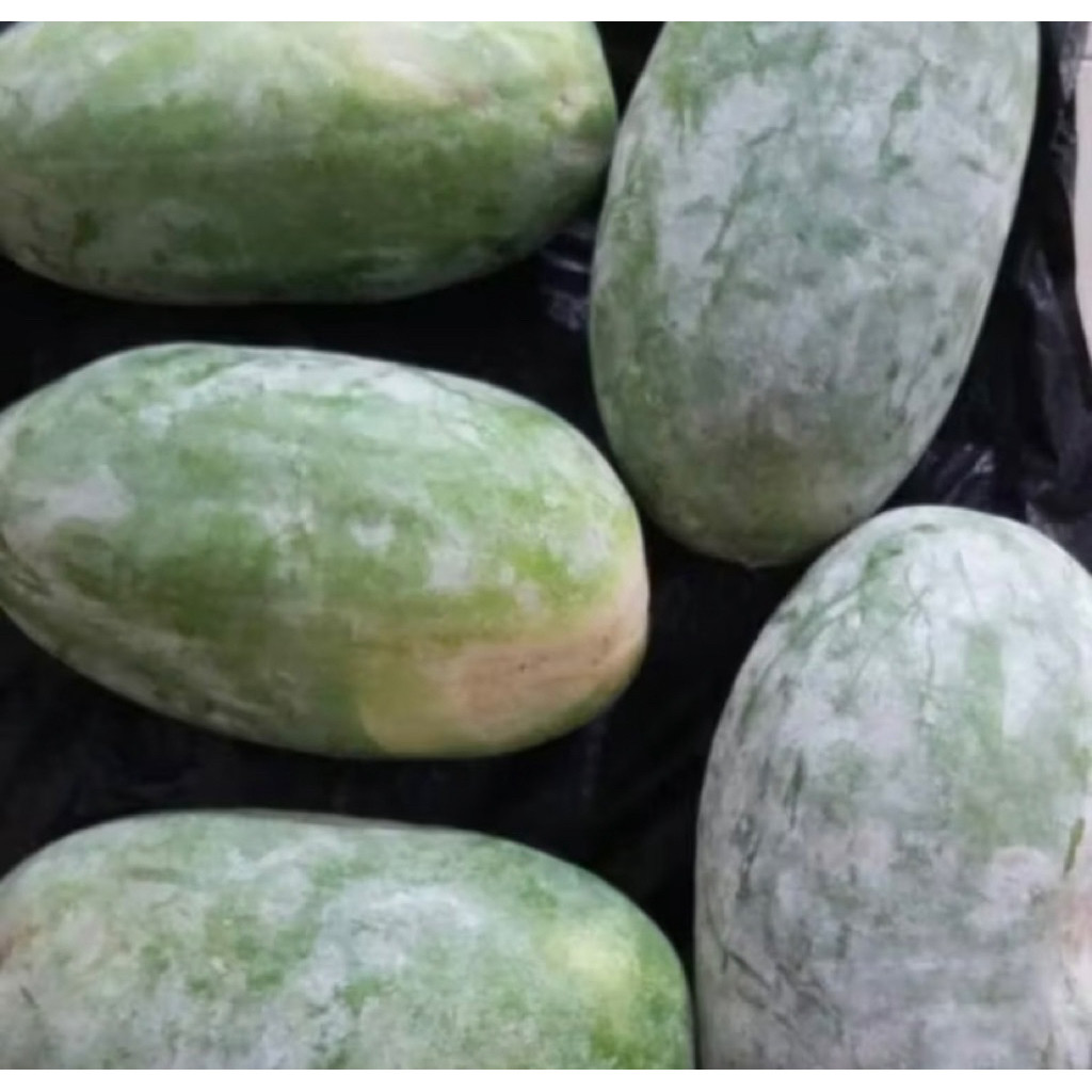 

buah beligo buah kundur 2 kg - 2,6 kg