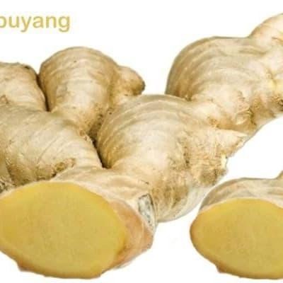 

LEMPUYANG SEGAR HERBAL 1 KG Shop with