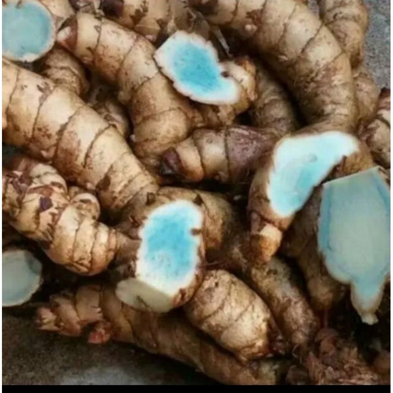 

.Temu hitam. obat tradisional asli. herbal alami 1 kg