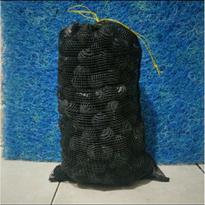 Bioball isi 300 pc + Waring media filter