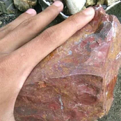 

bongkahan batu akik ati ayam besar 800gram