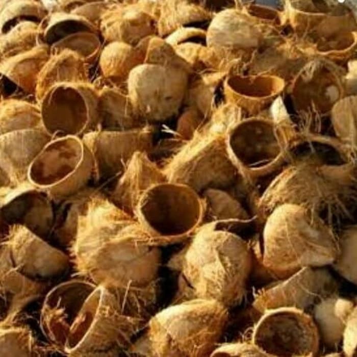 

Batok kelapa ( tempurung kelapa) - Asli 100% untuk kerajinan 1 kg
