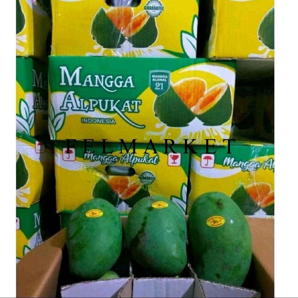

Buah Mangga Alpukat Klonal / Mangga Harumanis Alpukat 5 Kg / Dus