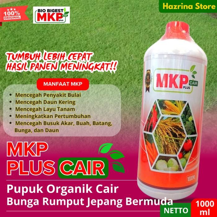 Pupuk Organik Cair Rumput Jepang Bermuda Mix – MKP Penyubur & Pelebat Bunga Terbaik