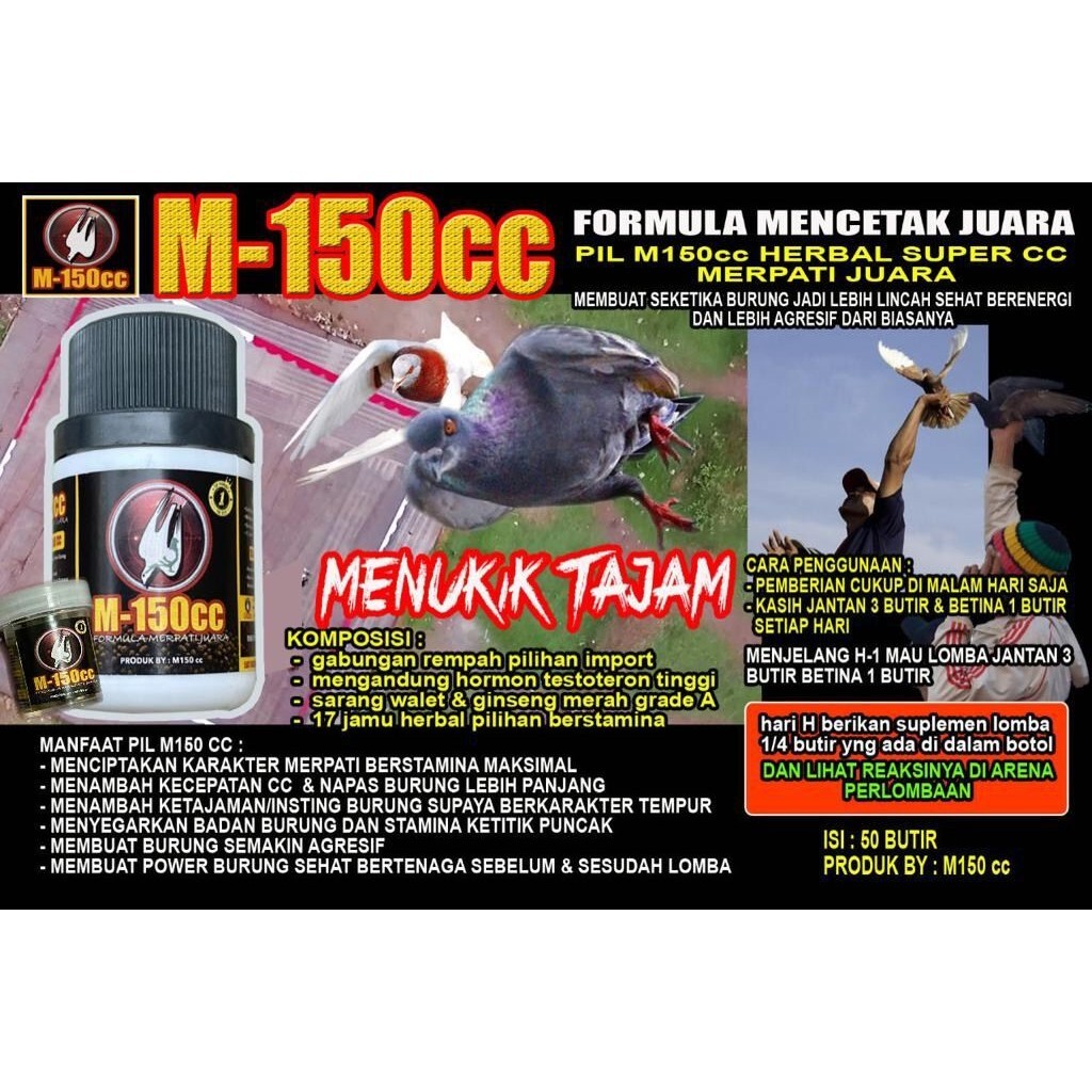 Af'Al birdshop - PIL M150 CC MERPATI JUARA LOMBA