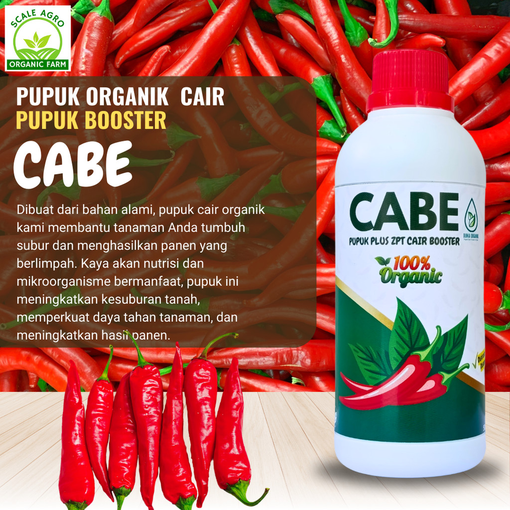 pupuk cabe agar berbuah lebat, pupuk cabe masa pertumbuhan, pupuk cabe rawit pelebat buah