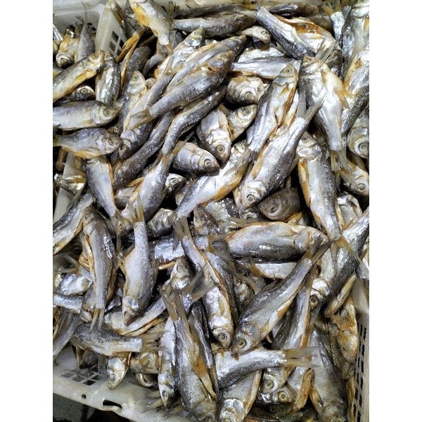 

Ikan Asin Senangin Kecil / Berat 250 Gram