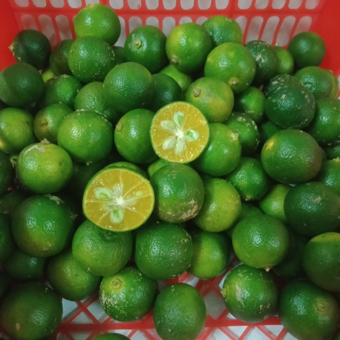 

JERUK SONKIT / KALAMANSI / KASTURI / KUNCI / LEMON CUI