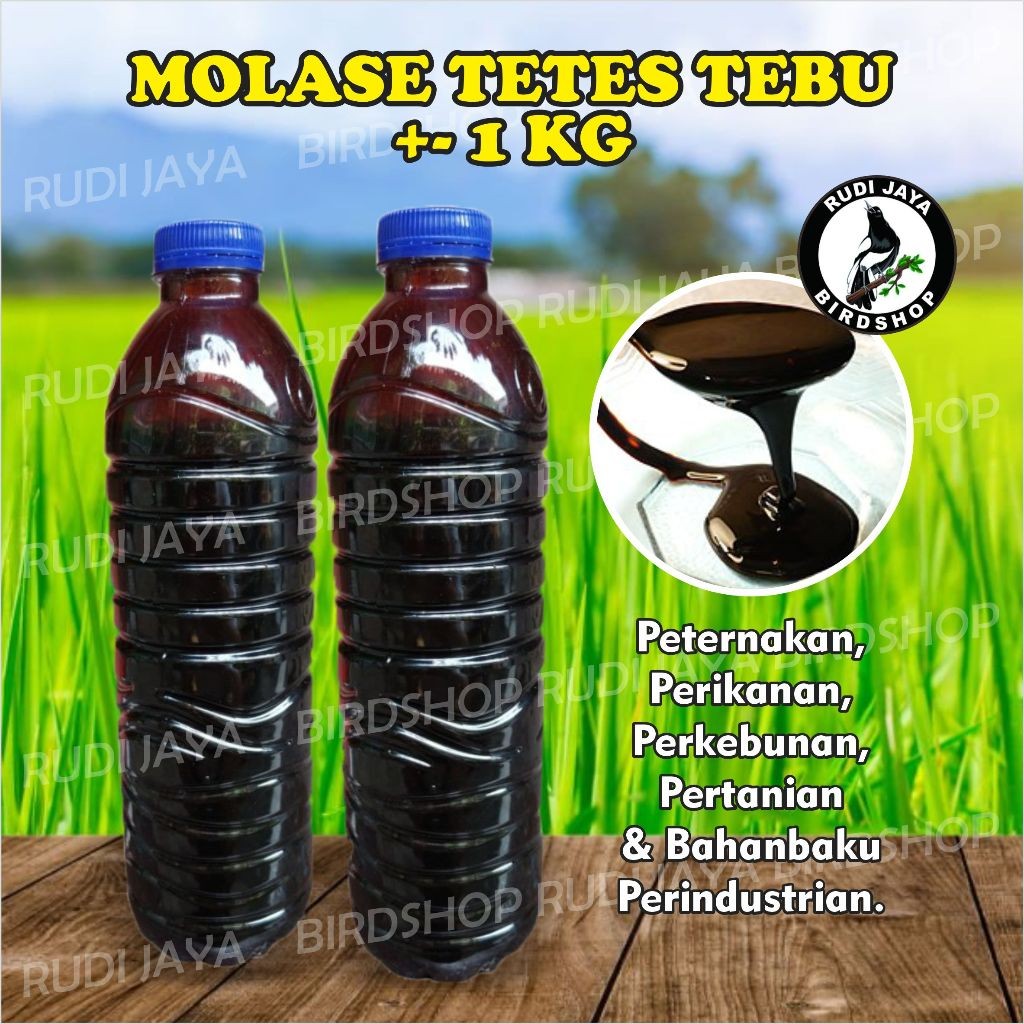 MOLASE TETES TEBU 1KG PENAMBAH NAFSU SAPI KAMBING HEWAN TERNAK