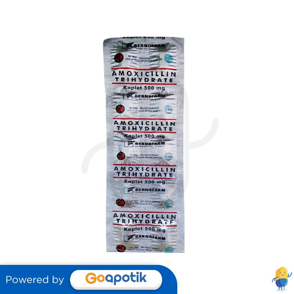 Amoxicillin Trihydrate Bernofarm 500 Mg Strip 10 Kaplet