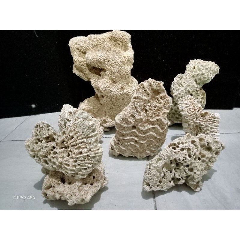 Batu Dekorasi aquarium Karang laut / dead rock size 10cm berat 1 kg