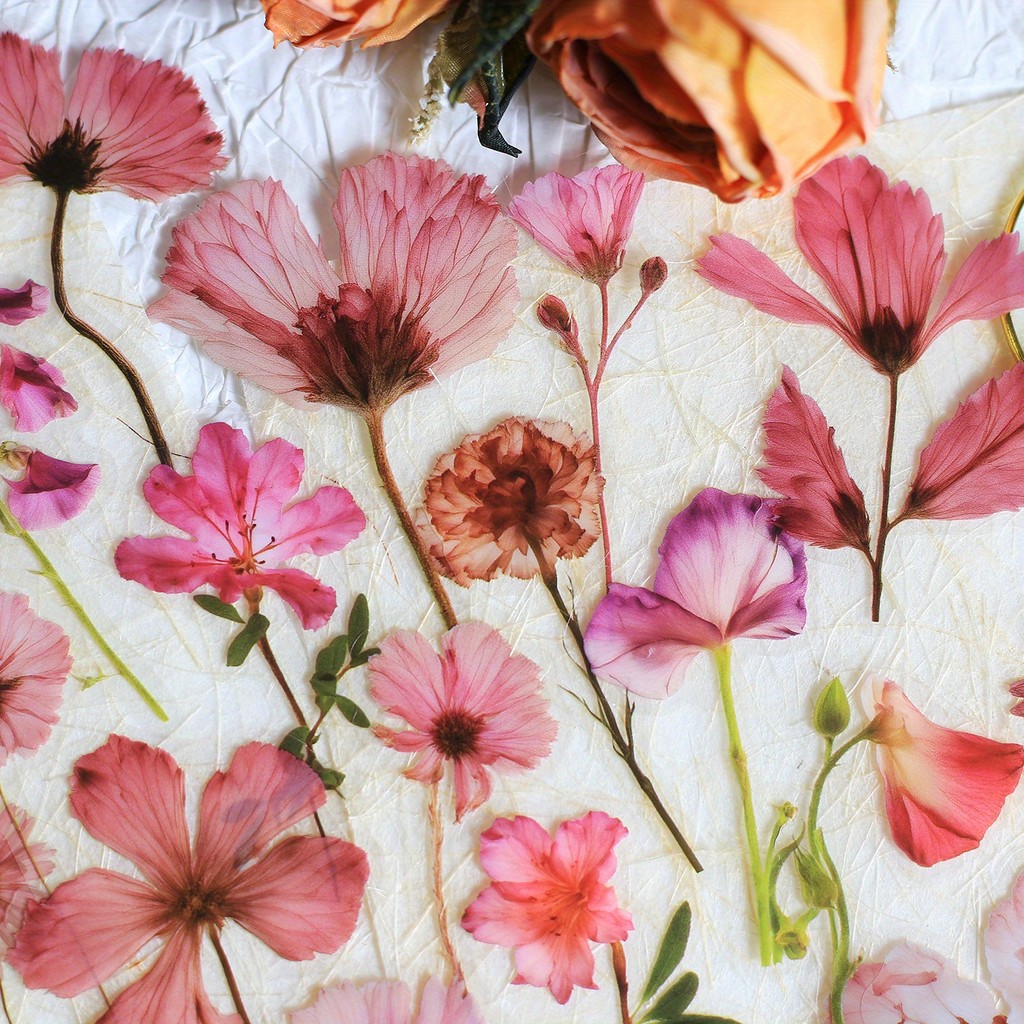 

Journamm 50Pcs Transparent Decoration Flower Stickers for Scrapbooking PET Nature Floral Stickers for Journaling Scrapbooking