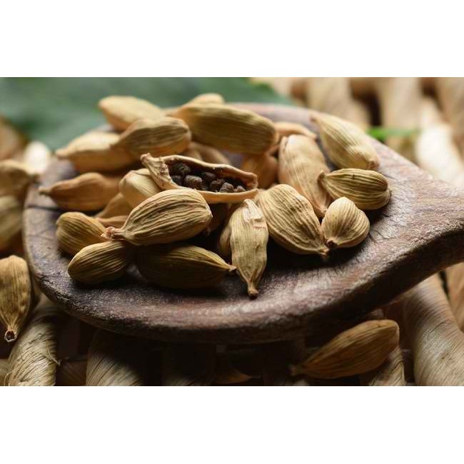 

Kapulaga Segar 100% Alami Cardamom Fresh Forido Agro Kapulaga Alami