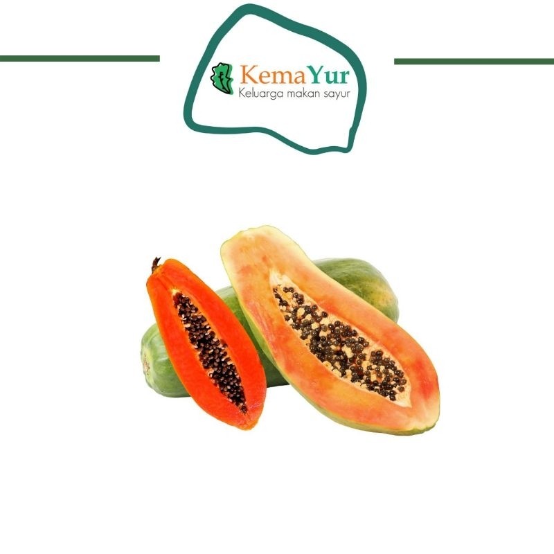 

PEPAYA 1 BUAH UTUH SURABAYA