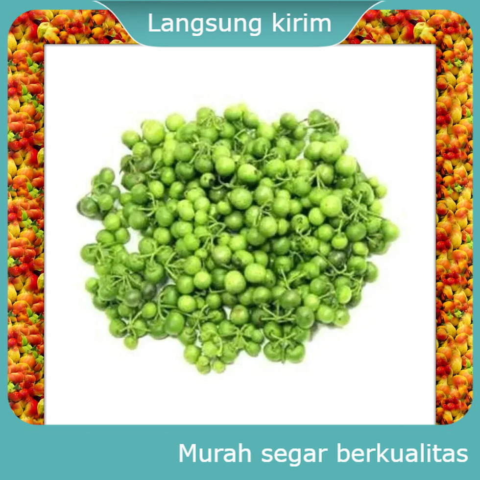 

Sayuran Leuncha Leunca Lenca 500 Gr Sayur Mayur Bersih Fresh