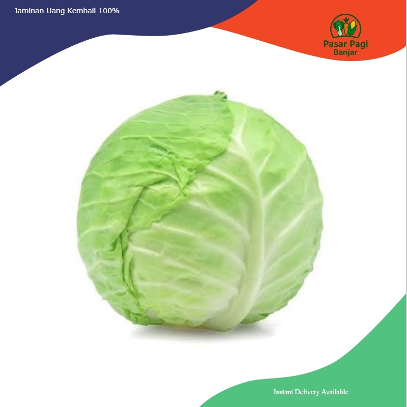 

Kubis / Kol / Berat 1 kg / 500 gram