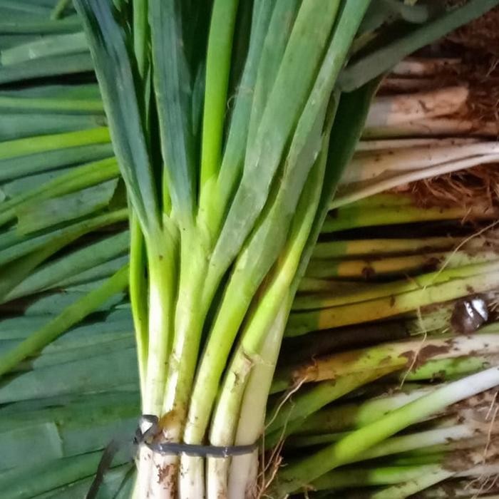 

Promo DAUN BAWANG SON - 500gram