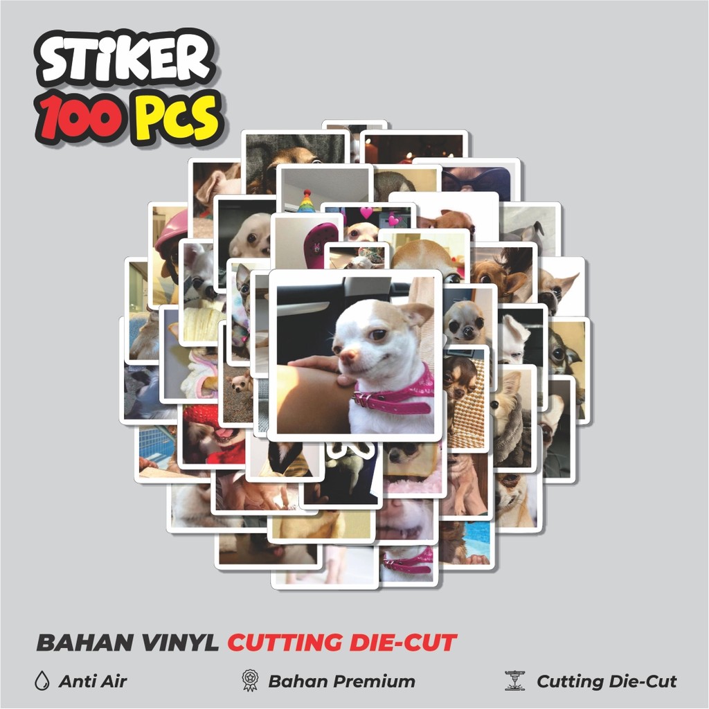 

Terbaru! 50 pcs Stiker Cihuahua Dekorasi Lucu Kreatif untuk Notebook, Skateboard, HP