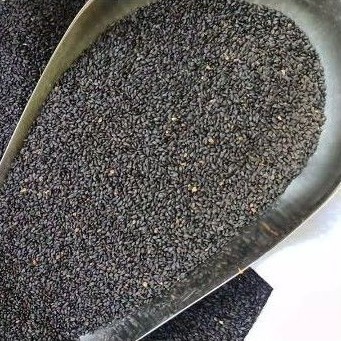 

Biji Selasih 100gr Kualitas Bagus - Basil Seed