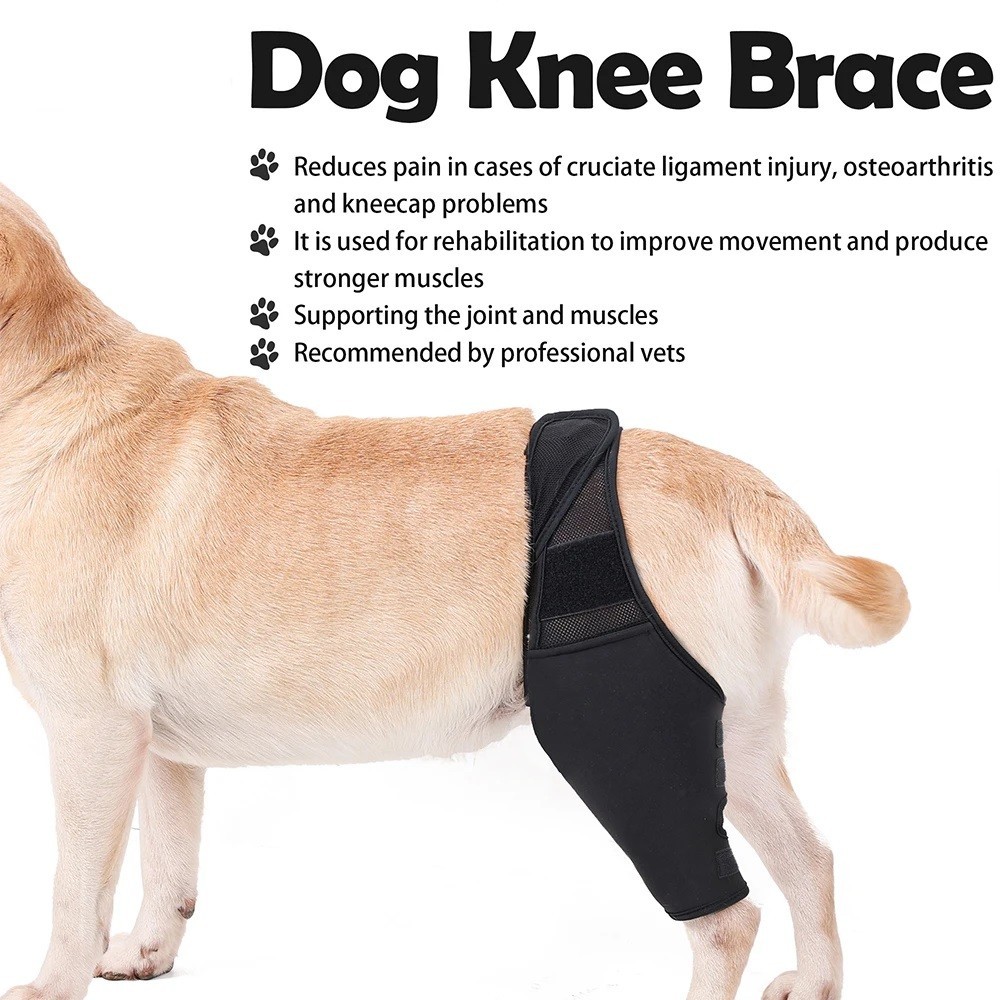Dog Leg Support Brace Adjustable Knee Brace Injury Protector Fracture Disability Fixed Leg Auxiliary