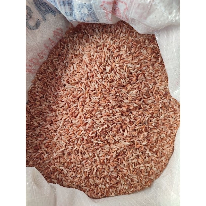 

1 Kg Beras Merah Organik Lokal Sosoh Enak & Lembut SNP GARDEN SEED