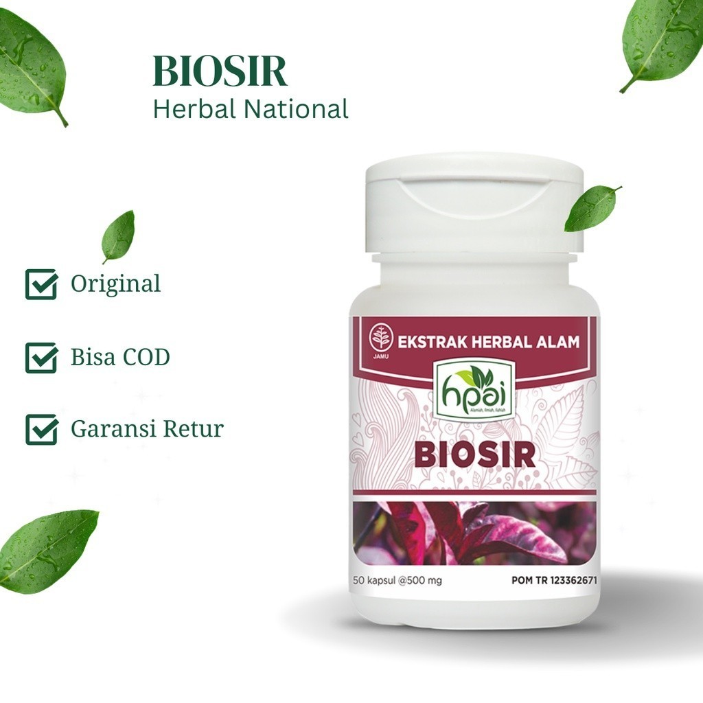 

BIOSIR Usir wasir dan gejalanya / obat ambeien / obat wasir / herbal ambeien / herbal wasir - HNI BPOM