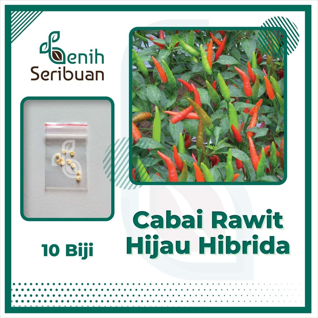 10 Bibit Cabe Rawit Hijau Hibrida F1 Hiter Benih Cabai Annum Super Sayuran Unggul Bintang Asia