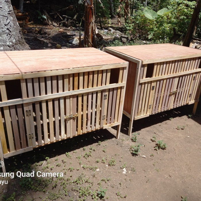 kandang ayam bangkok jago