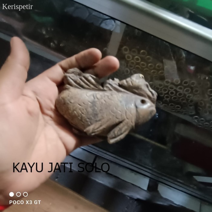 

fosil ikan ori Antikan KJS72 antik terlaris