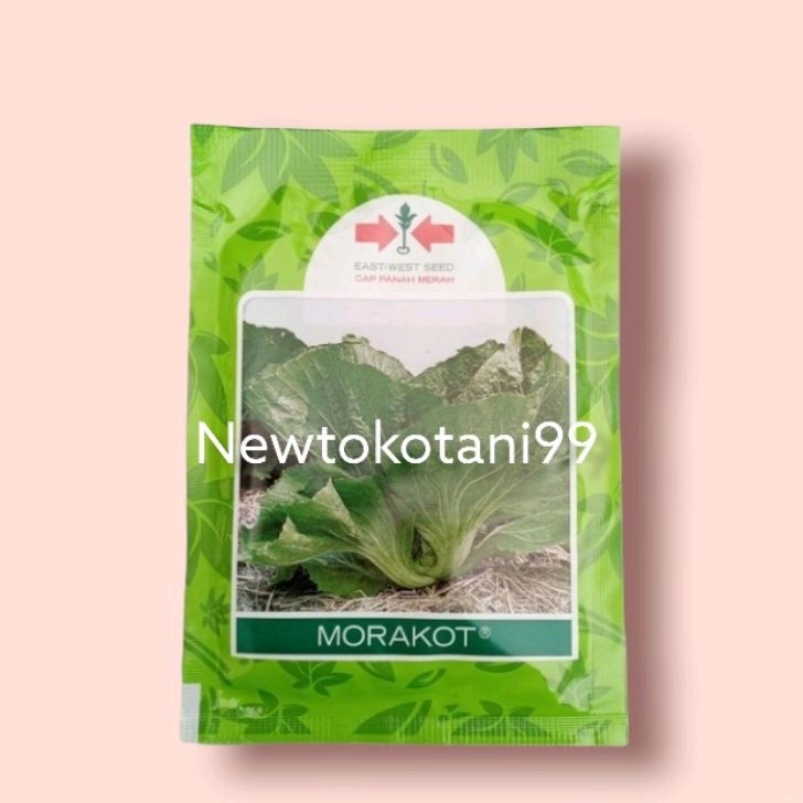 Benih sawi MORAKOT 20 gram sawi pahit morakot marokot dari panah merah