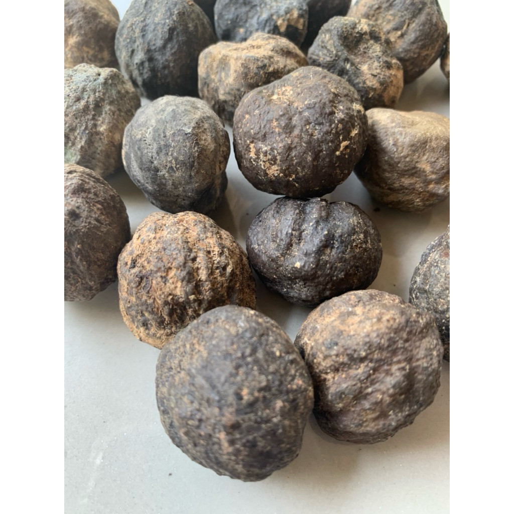 

Buah Kemiri ada Batok 1 kg, masih ada cangkang