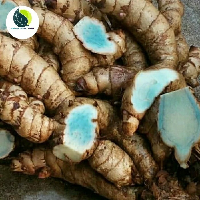 

promo temu hitam temu ireng 200grm fresh Herbal COD