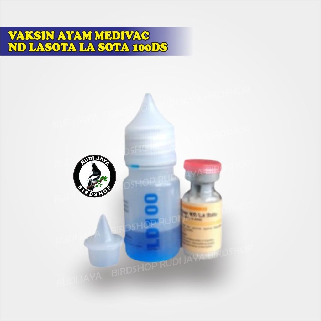 SEDIA VAKSIN AYAM MEDIVAC ND HITCHNER B1 100DS DOSIS 100 AYAM VAKSIN PERTAMA AYAM DOC ANTI TETELO