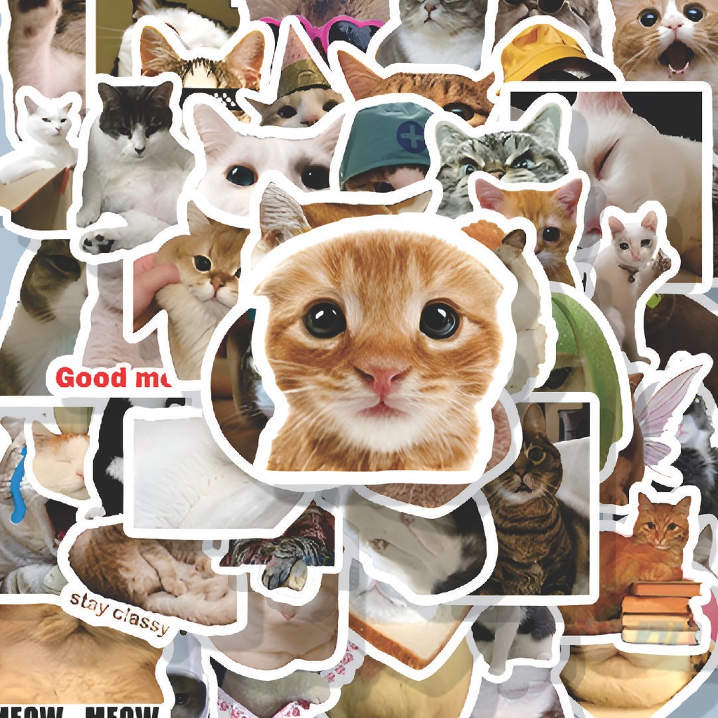 

100PCS Lucu Stiker Funny Cats Series [Seri Kucing Lucu] Stiker Aesthetic Stiker Anti Air Stikers Berperekat Waterproof sticker decal buat Motor Helm Buku Journal Koper Casing HP Laptop Botol Minum Hadiah anak
